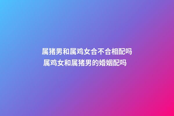 属猪男和属鸡女合不合相配吗 属鸡女和属猪男的婚姻配吗